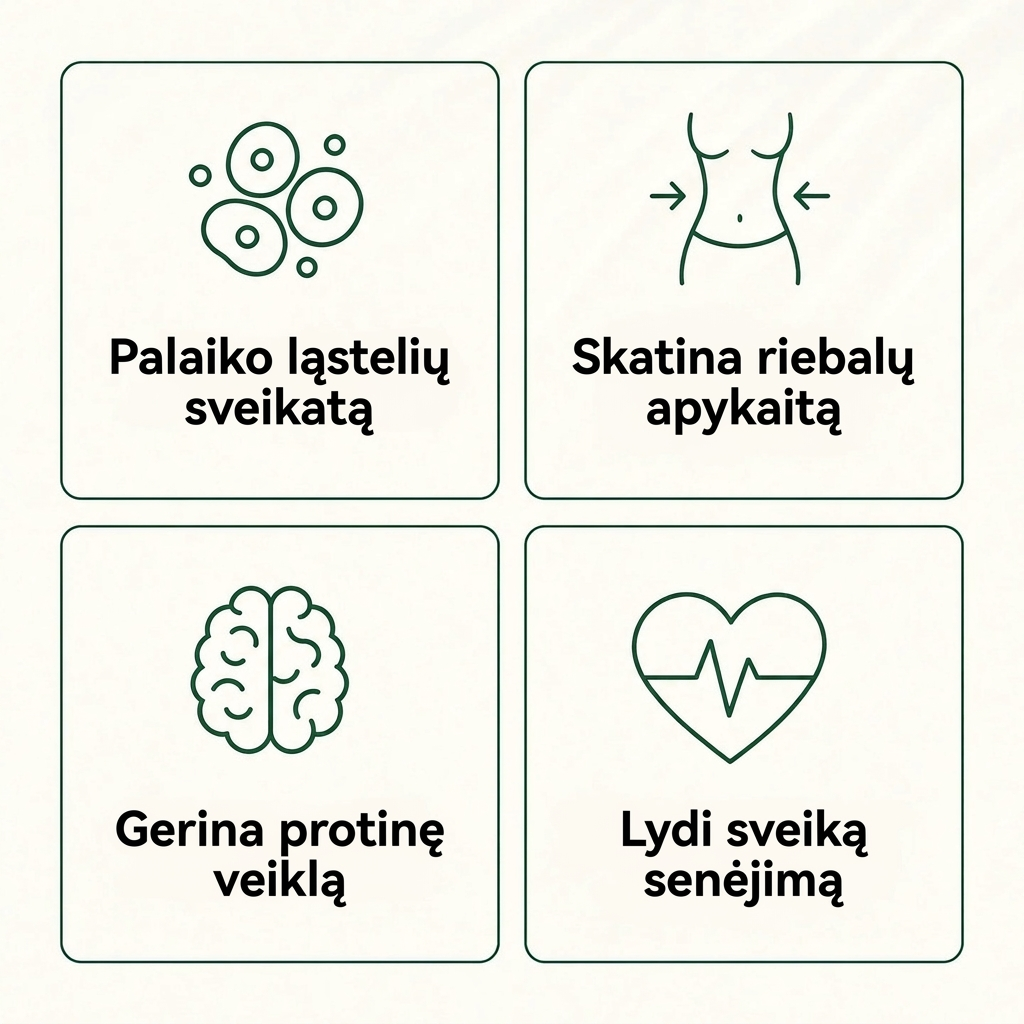 Indinio agrasto supervaisiaus kapsulės